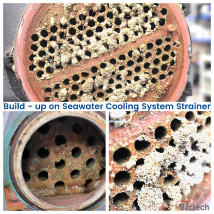 Build- up on Seawater Cooling System Strainer